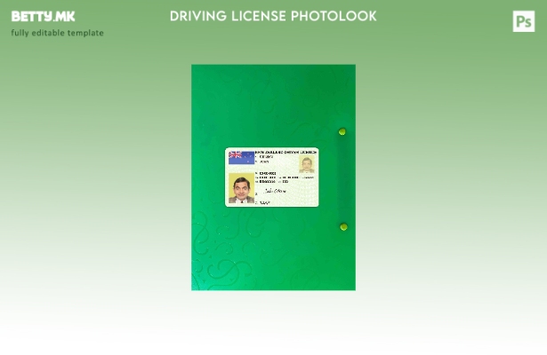 модерен стил Новозеландска зелена возачка дозвола (целосно квалификувана) photol